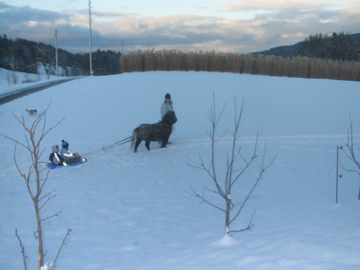 advent